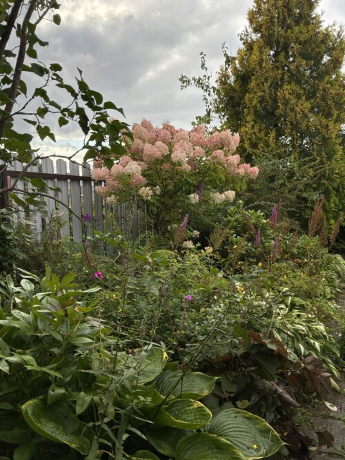 IMG_00034a627ae593e6af37.jpeg